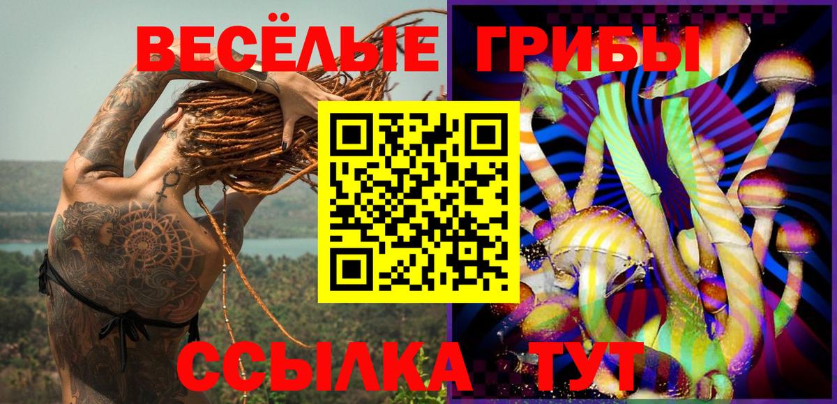 Галлюциногенные грибы Magic Shrooms Боровичи