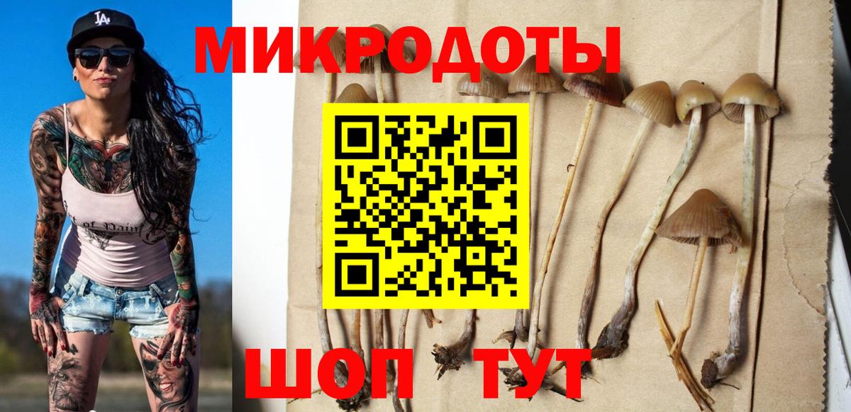 дарнет шоп  Вход с VPN  Боровичи  Галлюциногенные грибы мухоморы 